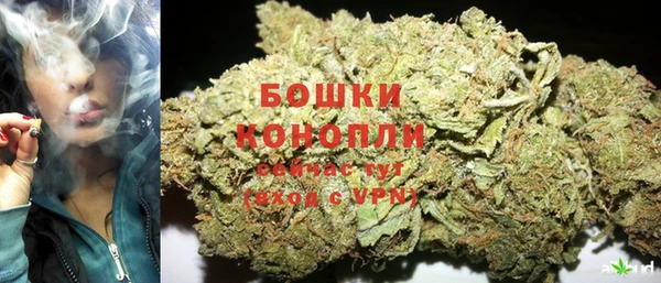 мдпв Костерёво