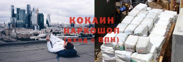 крисы Кодинск