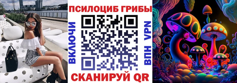 где купить наркоту  Пушкино  Галлюциногенные грибы Psilocybine cubensis 
