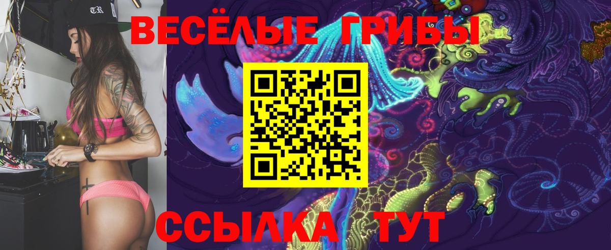 Галлюциногенные грибы GOLDEN TEACHER  Пушкино  Псилоцибиновые грибы Psilocybe 