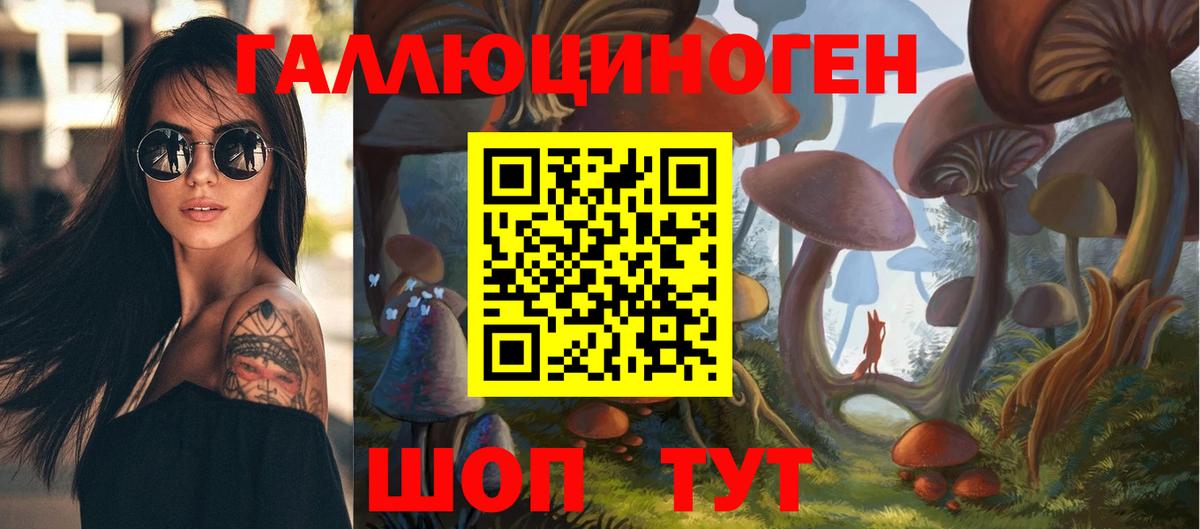 Пушкино  Псилоцибиновые грибы Psilocybine cubensis  закладка  Вход с VPN 