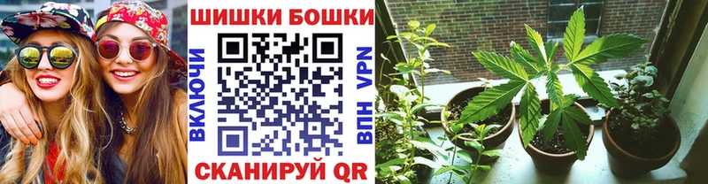 МАРИХУАНА планчик  Пушкино 